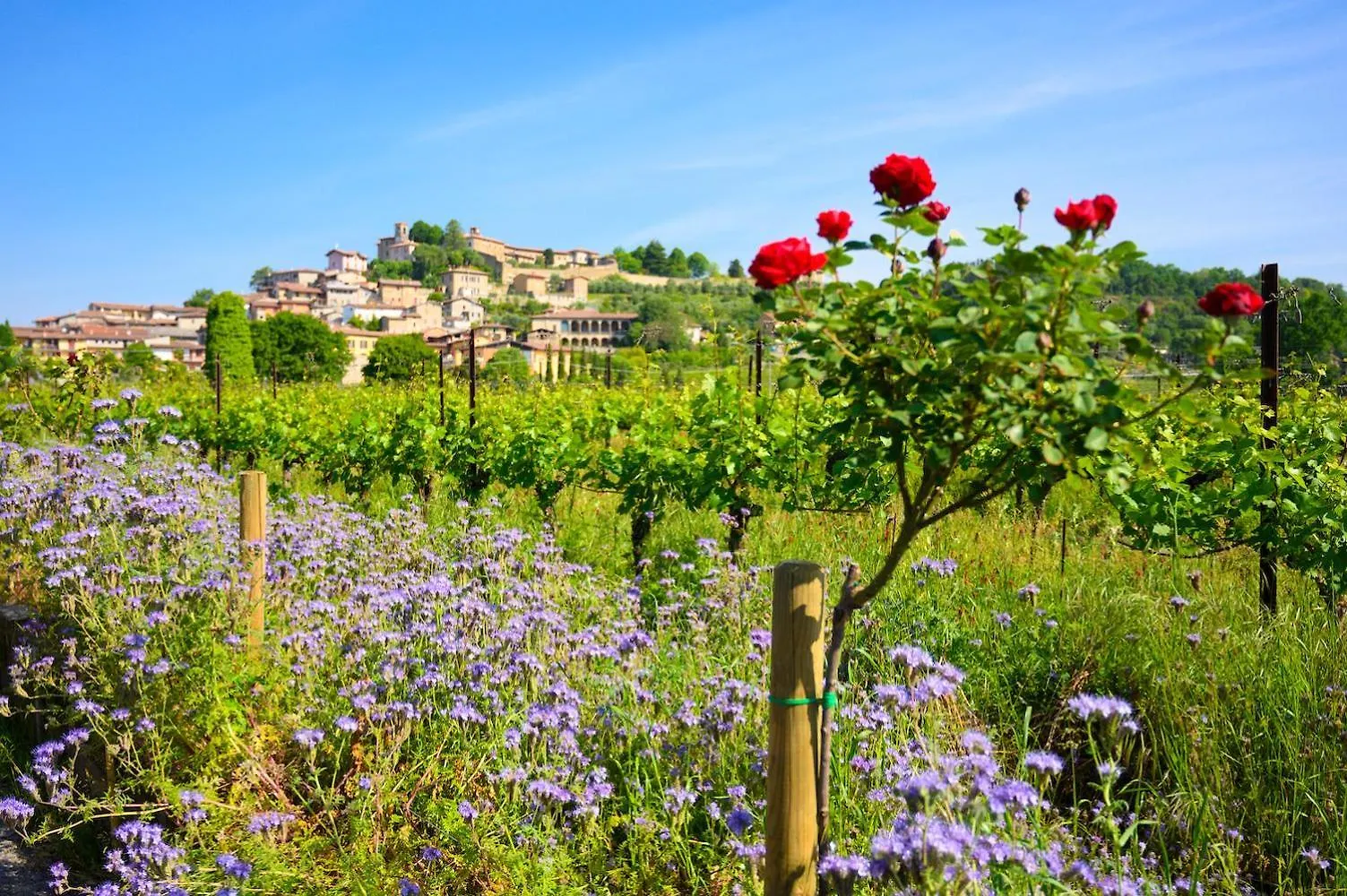 Corte Lantieri Capriolo 0*,  イタリア